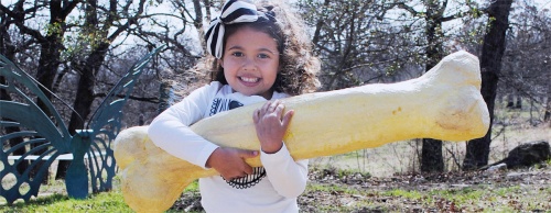 Children of all ages can participate in a fossil hunt this weekend.