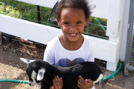 The animals at Emerson provide a chance for children to learn responsibility and social, physical and bonding skills.