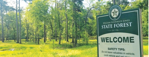 Wording in Senate Bill 1964 in the Texas Legislature has been substituted with new language to preserve the undeveloped W.G. Jones State Forest after concerns were voiced by hundreds of residents. 