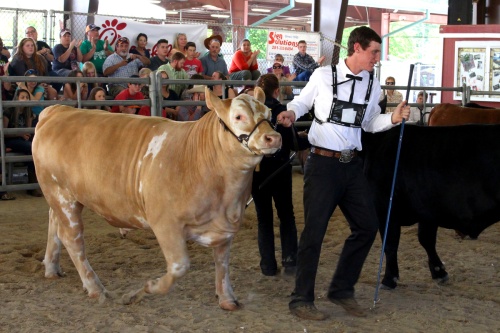 The Spring Livestock Show Fair will run from April 6-8.