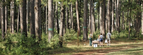 The Woodlands Township affirmed a resolution Wednesday against any development in WG Jones State Forest.