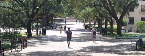 Texas State had an enrollment of 38,808 as of spring 2017.