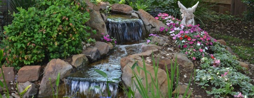 The Austin Pond Society hosts a series of self-guided pond and water garden tours June 3-4.
