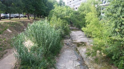 Shoal Creek runs from Lady Bird Lake to 38th Street. This section is located at Sixth Street near West Avenue.