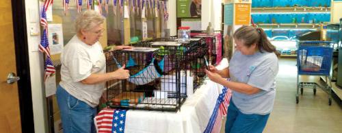 Pet Placement (above) does pet adoptions every week. PAWS Shelter of Central Texas will be participating in national pet adoption day.