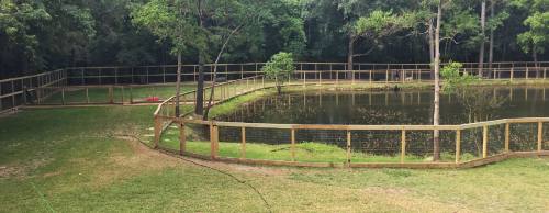 Barking Springs Dog Ranch is situated on 2 acres of land with four yards for dogs to play in.