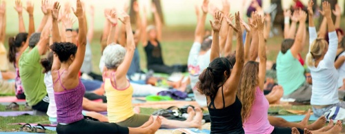 A yoga festival will be held this weekend at Warren Sports Complex in celebration of International Day of Yoga.