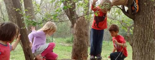 The Butterfly Garden is one of several businesses to join the Enchanted Woodlands farm development in Southwest Austin.