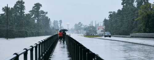 Cypress Creek reached record levels at several locations, including this bridge on Stuebner Airline Road, in late August.