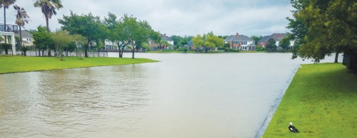 Sugar Land and Missouri City continue to dry out nearly two weeks after Hurricane Harvey pummeled the cities, along with the rest of the Greater Houston area, dumping on it an immense amount of rain and causing two deaths in Fort Bend County.n