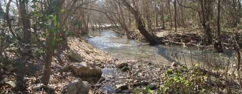 The San Marcos River Foundation received about 31 acres of land around Stokes Park and Cape's Dam for preservation. 