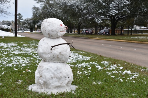 Staff at Kickerillo-Mischer Preserve built a snowman using snow from the facility's parking lot.