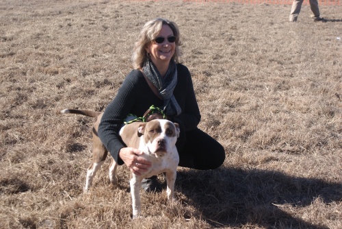 Executive Director Cheryl Schneider from the Williamson County Regional Animal Shelter is seen with Charger, a dog currently awaiting his forever home at the shelter.