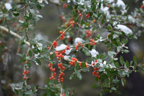 Icy conditions may return to the Greater Houston area on Tuesday, and local school districts have announced they will close for the day.