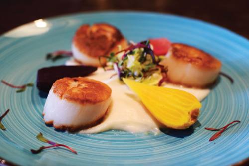 Diver Sea Scallops ($29): three scallops over cauliflower puree served with baby beets