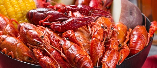 There's plenty to do this weekend in the Katy area, including digging into a plate of mud bugs. 