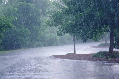 Here are some things to do this weekend to avoid cabin fever from staying in from the rain.