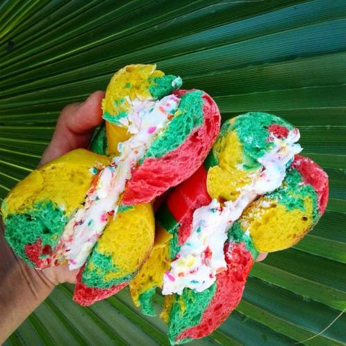 Jersey Bagels is now open in Cypress.
