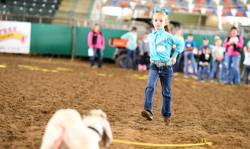 The Montgomery County Fair and Rodeo returns to the fairgrounds this year.