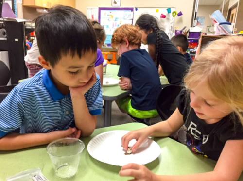 Two children in Leander ISDu2019s two-way dual-language program share a table in their classroom.