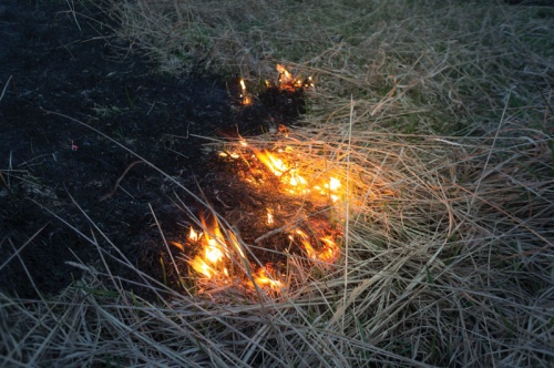 A burn ban takes effect in Comal County June 8 at 6 a.m. and will remain in place for 90 days.
