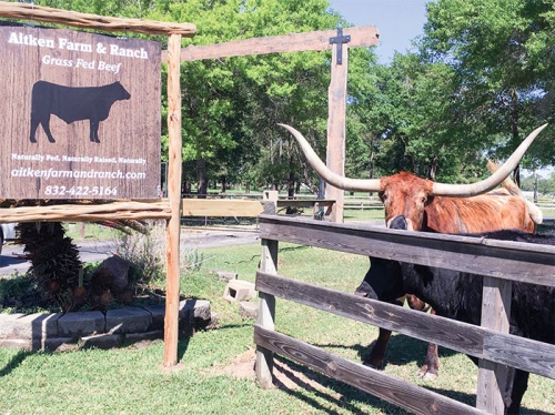 Aitken Farm and Ranch is located on Bauer Hockley Road in Tomball