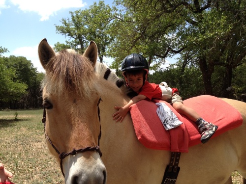A fundraising event for Red Arena will be June 1 at Dripping Springs Ranch Park. 