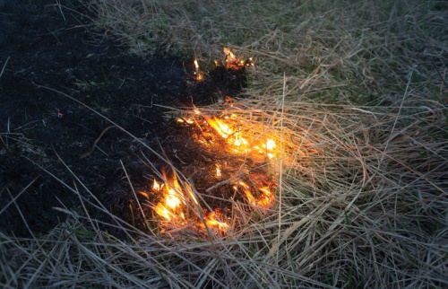 Comal County Fire Marshal Kory Klabunde said the county will reinstate the outdoor burn ban if the weather dries out and heats up in the coming days. 