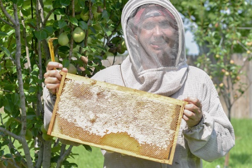 Jake Lavine began beekeeping to find a change of pace from his accounting job. Six years later, Lavine has several hives and sells honey.