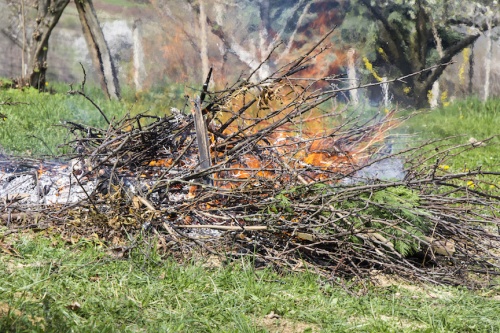 An emergency burn ban is in effect for Williamson County.