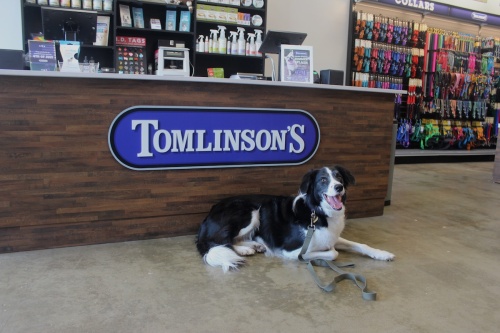 Austin-based Tomlinson's Feed opened its 15th store on Braker Lane in 2018.