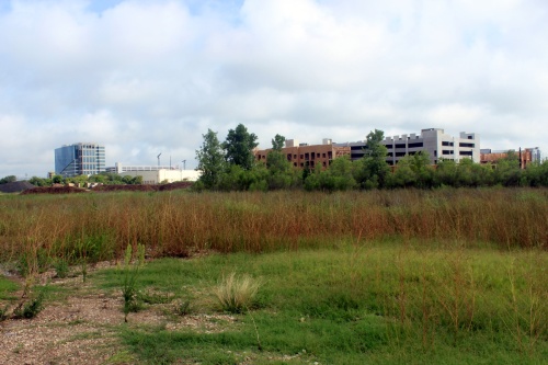 McKalla Place is an undeveloped piece of land owned by the city. Plans to use the site for Austin Water were abandoned after an explosion occurred in 2003. The site was previously the location of a chemical plant and has now been remediated.