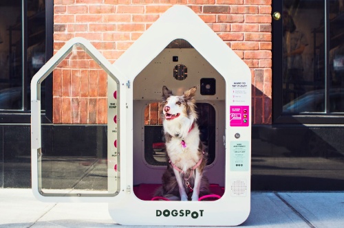 Hill Country Galleria is the first location in Texas to provide DogSpot dog houses. 