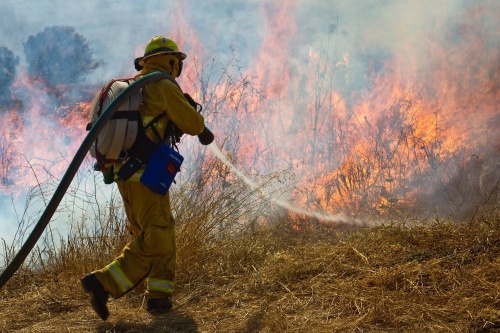 Texas is among the states most at risk of damaging wildfires. 