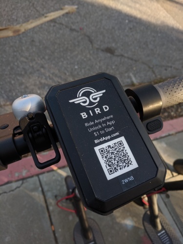 A Bird scooter can be unlocked and ridden by rental through a mobile application.