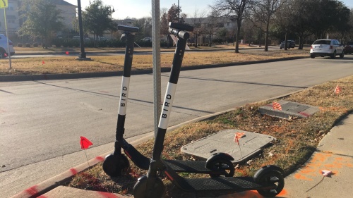 Bird scooters will be removed in Frisco starting next week.