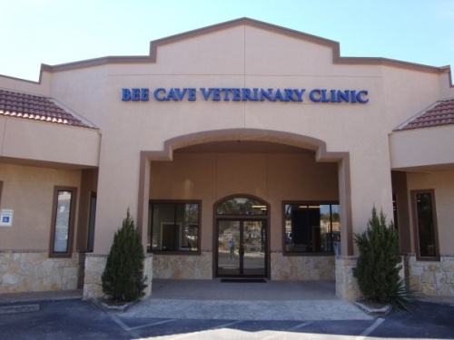 Bee Cave Veterinary Clinic is celebrating 10 years in business 