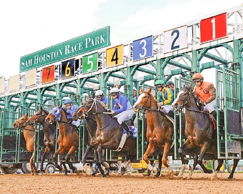 Attend opening day at Sam Houston Race Park
