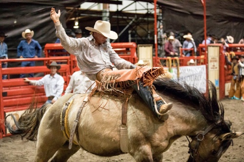 The Humble Rodeo & BBQ Cookoff concludes this weekend, Feb. 8-9. 