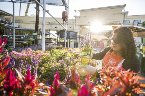 Home Depot will hire 800 part-time and seasonal employees in the Austin area this spring.