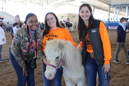 From left, Paetow High School students Kerrah Oliver, Sarah McGee and Desiree Amstutz pose with Big Cowboy, a horse with Halter Inc., a local nonprofit that helps special-needs children and at-risk teenagers build self-confidence, on Feb. 13 at the W.E. u201cBillyu201d Morgan Rodeo Arena.