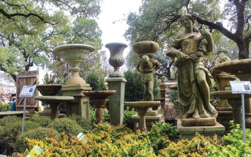 Hill Country Water Gardens & Nursery on Bell Boulevard in Cedar Park sells a variety of plants, fountains, pond supplies, fish and more. 