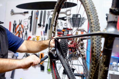 Vintage Cycle offers bicycle purchases, repairs and rentals. 
