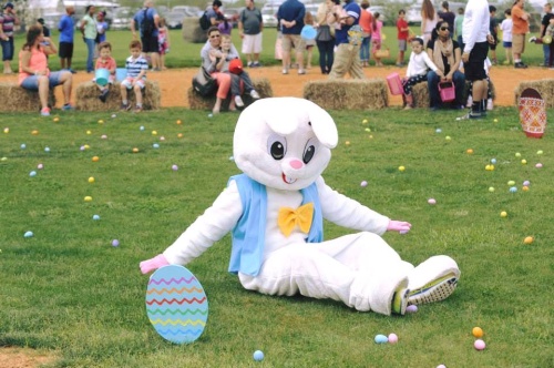 Several Houston-area events feature appearances by the Easter bunny.
