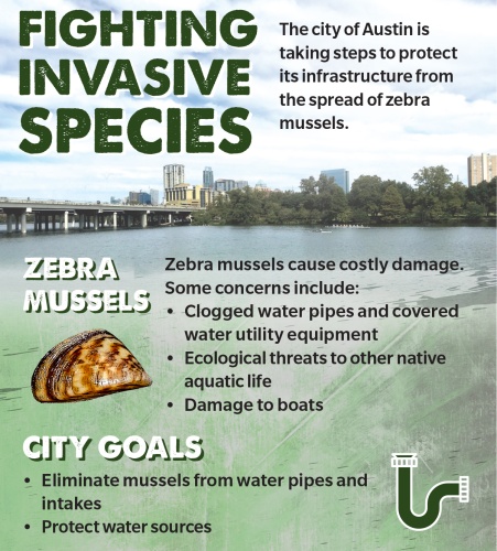 The city of Austin is taking steps to protect its infrastructure from the spread of zebra mussels.