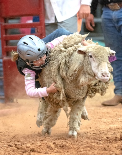 Dripping Springs Fair and Rodeo takes place at the end of this month. 