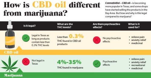 Cannabidiolu2014CBD oilu2014is becoming more popular in Texas, and some shops have started selling the products in the Bay Area. But how and why is this legal compared to marijuana?