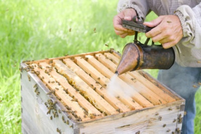 Beekeepers urged West University's city council not to pass ordinances that would disrupt beekeeping at the council's June 24 meeting.