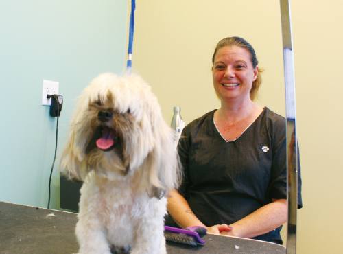 Stonebrook Family Pet Clinic offers grooming services.