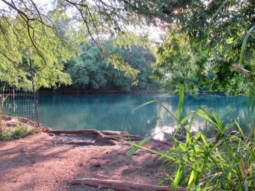 Researchers have identified a parasite that may threaten plants and animals living in the San Marcos Riveru2014a critical habitat for several endangered species.